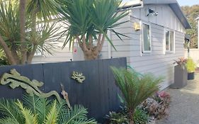 Sundown Palms